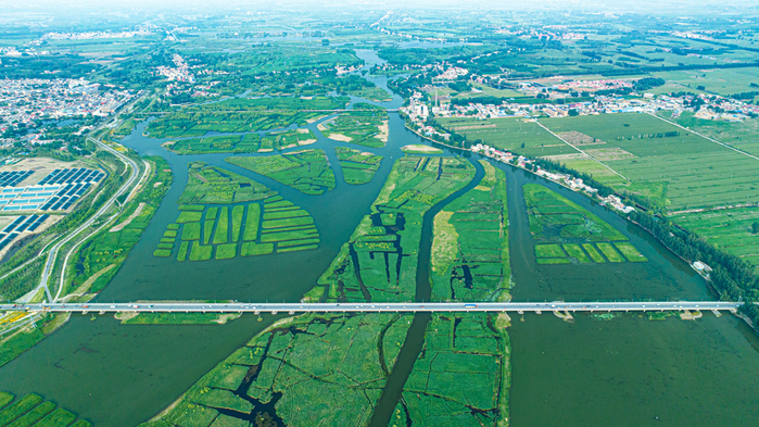 白洋淀湿地生态综合治理（水系通道连通）一标段通过完工验收