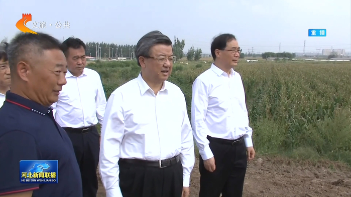 倪岳峰到水电三局东淀三标项目调研